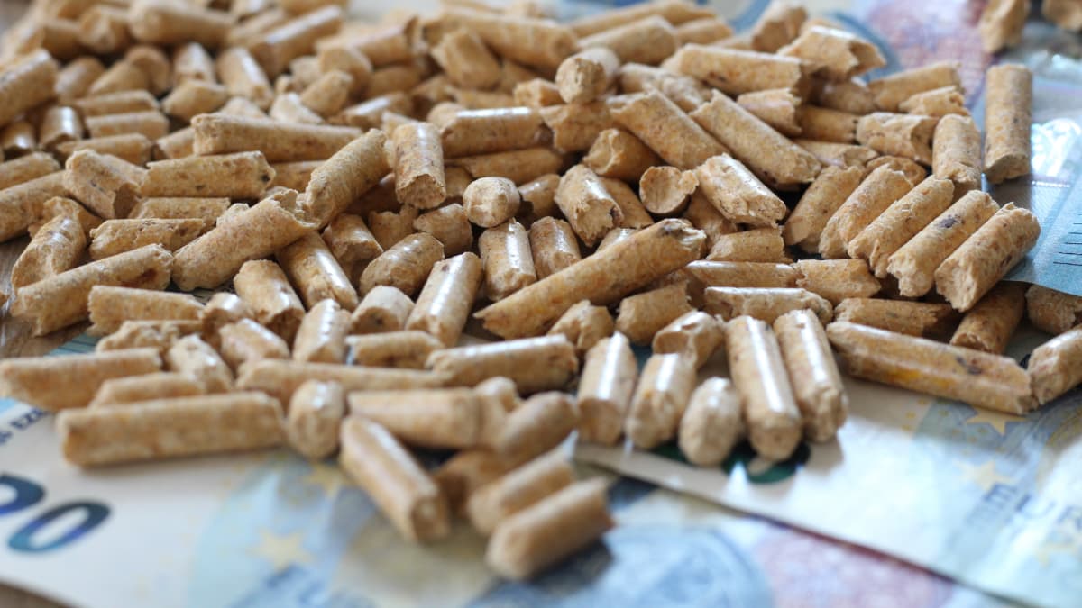 pellets et argent