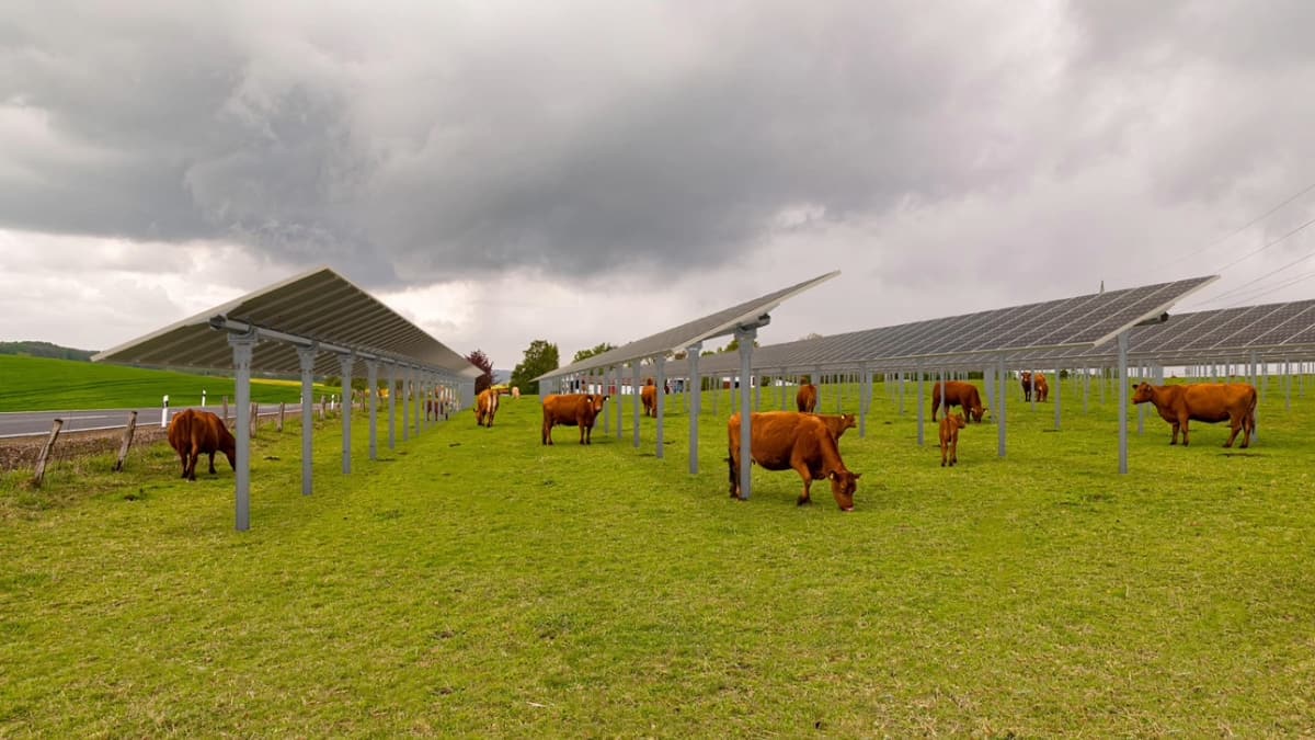 panneaux solaires agriculture