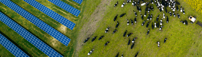 Photovoltaïque et agriculture