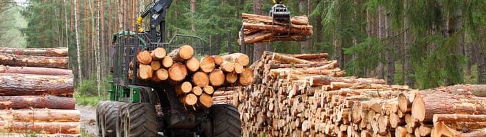 Actualités filière bois