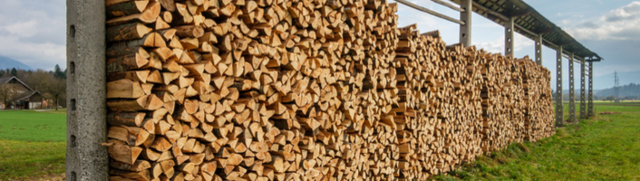 Quand couper son bois de chauffage? - Proxi-TotalEnergies