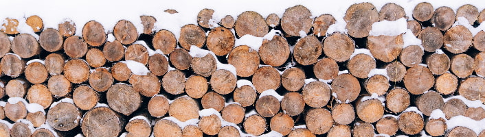 bois pour le chauffage en hiver