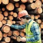 Tensions d’approvisionnement filière du bois