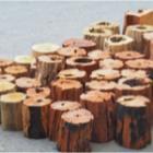 Les avantages et inconvénients des différentes essences de bois de chauffage