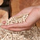 Les pellets de bois : fabrication, consommation et histoire du combustible
