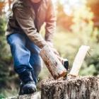 réglementation coupe de bois