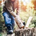 Quand couper son bois de chauffage? - Proxi-TotalEnergies