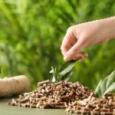 6-choses-a-savoir-sur-lutilisation-du-bois-compresse-image