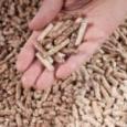 fabriquer-ses-pellets-soi-meme-la-solution-economique-image