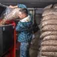 quelle-consommation-de-pellets-pour-une-maison-de-100-m2-image