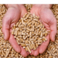 granules-de-bois-des-debouches-importants-en-chaufferie-collective-et-industrielle-image