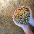 prix-du-pellet-preparez-vos-stocks-pour-lhiver-2023-image