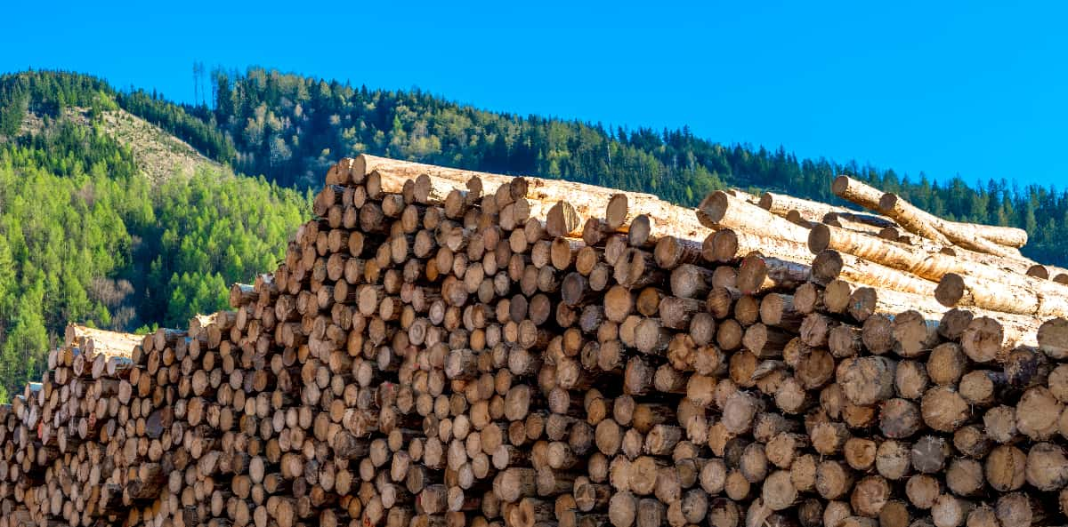 Chauffage au bois et particules fines