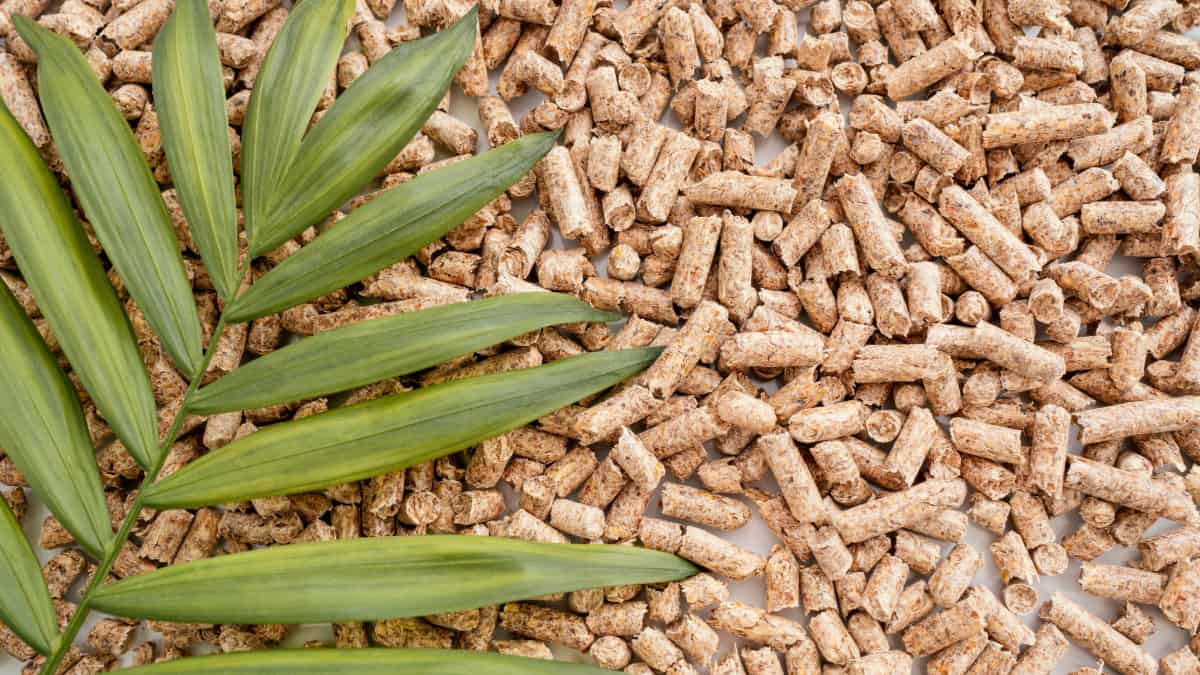Comment choisir ses granulés de bois ?