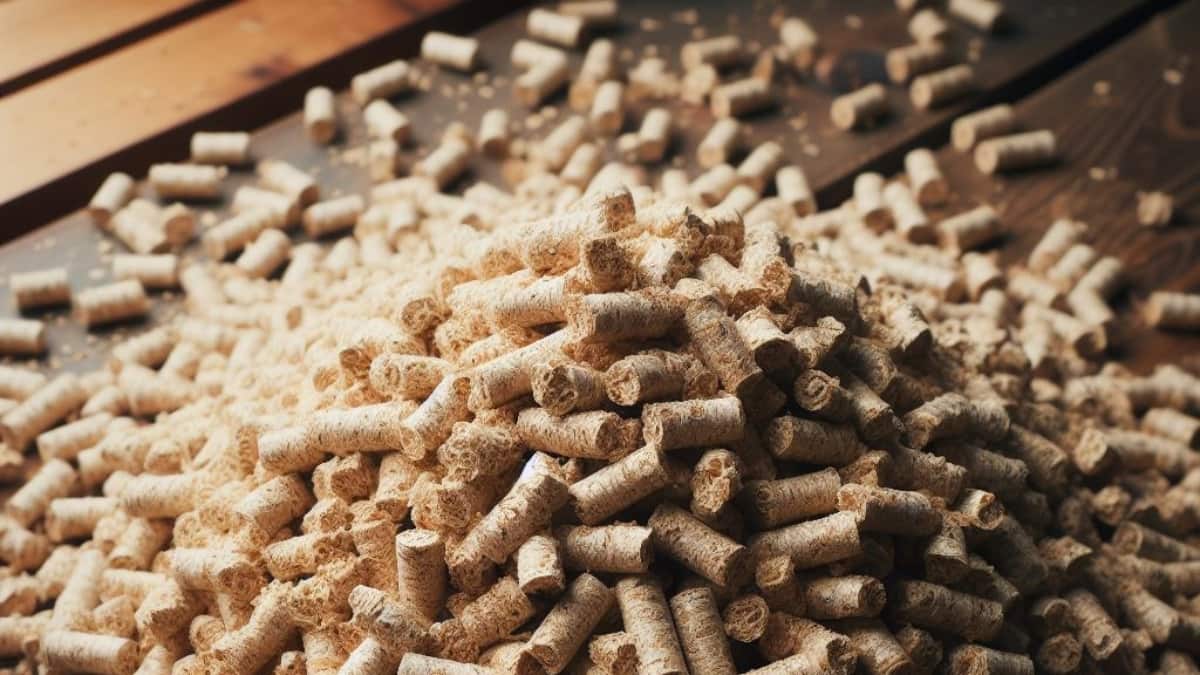 Comment choisir ses pellets ?