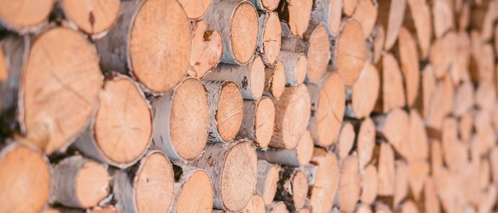 Quel bois de chauffage pour sa cheminée ou son poêle