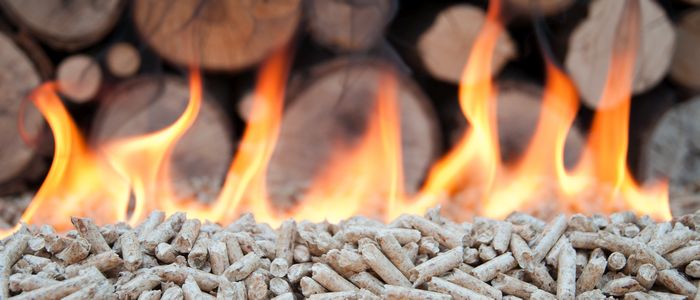Quel combustible choisir pour se chauffer au bois ?