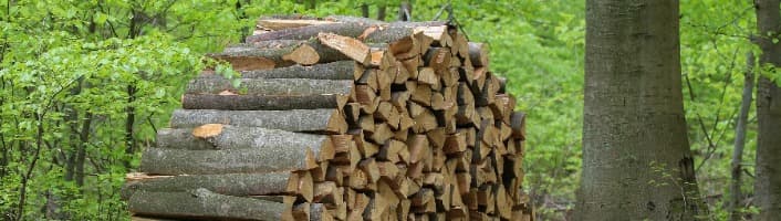 Fendre du bois de chauffage : faut-il le faire et pourquoi