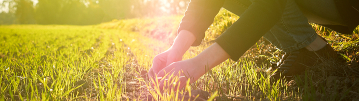 Exploitants agricole