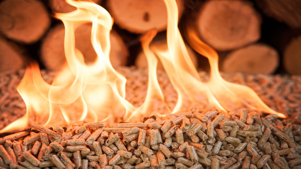 Le prix des pellets de la semaine du 1er juillet 2024
