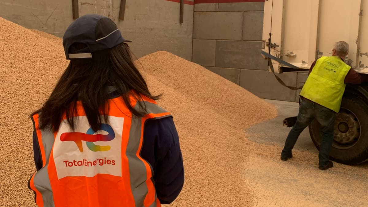 pellets vrac