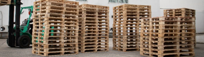 Réglementation sur la coupe de bois : ce qu'il faut savoir -  Proxi-TotalEnergies