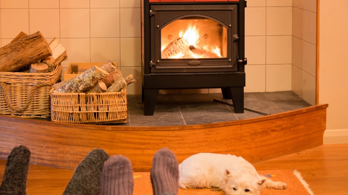 rendement appareil à bois