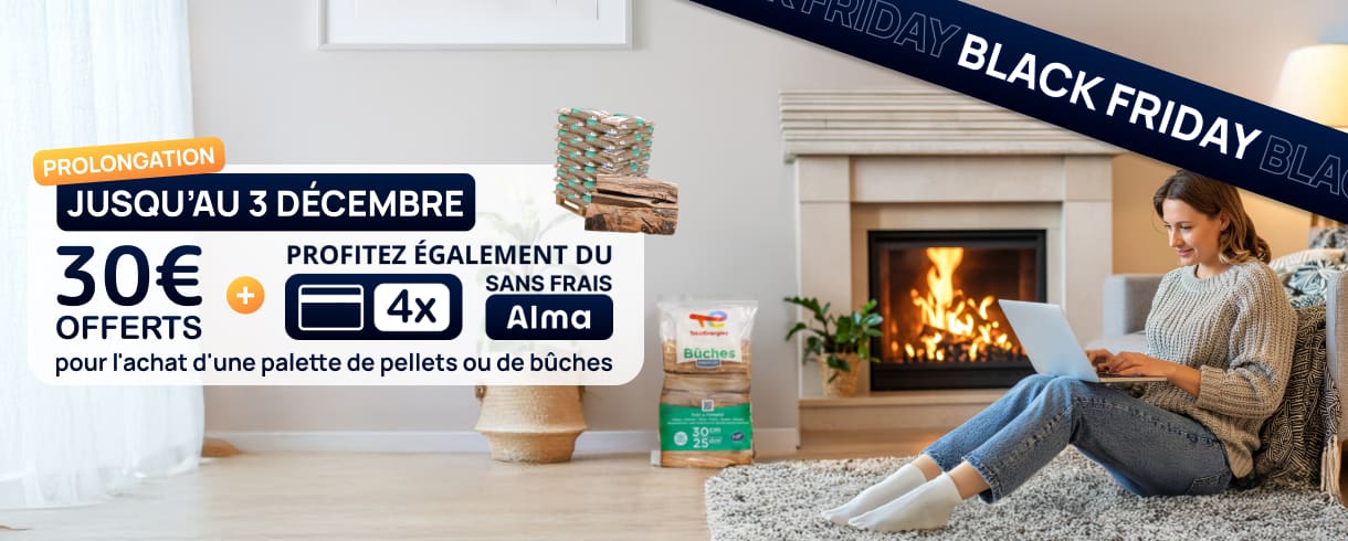 dame sur son ordinateur devant une cheminée