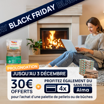 dame sur son ordinateur devant une cheminée